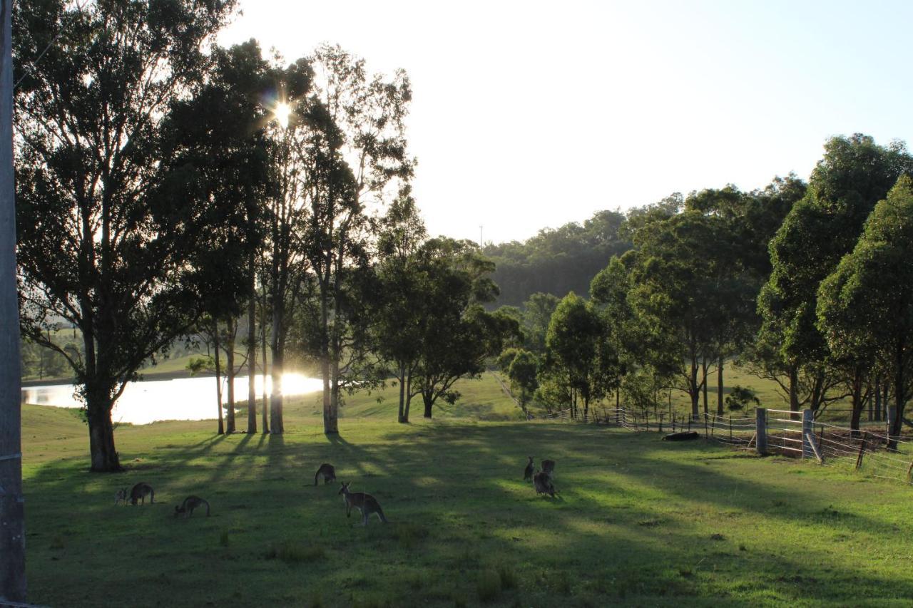 Hill Top Country Guest House Lovedale Ngoại thất bức ảnh